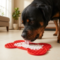 Rottweiler licking yogurt at floor level
